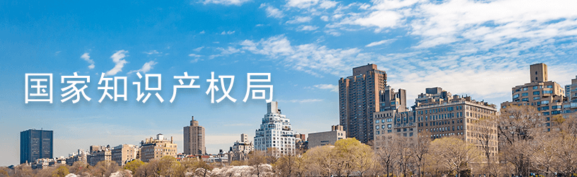 国家知识产权局.png